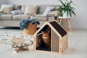 bouwtekening-kattenhuis-steigerhout